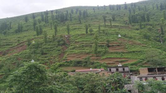 微信图片_20200625215441